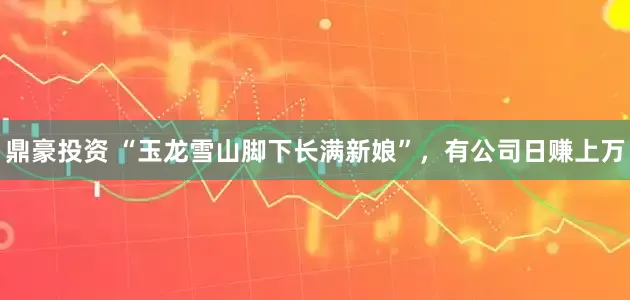 鼎豪投资 “玉龙雪山脚下长满新娘”，有公司日赚上万