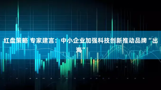 红盘策略 专家建言：中小企业加强科技创新推动品牌“出海”