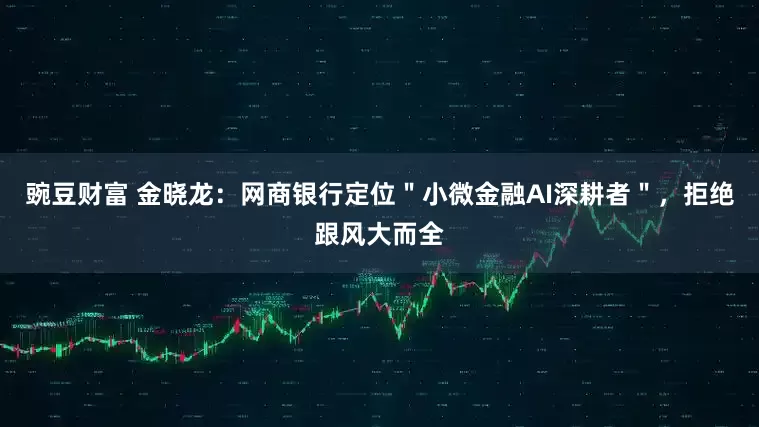 豌豆财富 金晓龙：网商银行定位＂小微金融AI深耕者＂，拒绝跟风大而全
