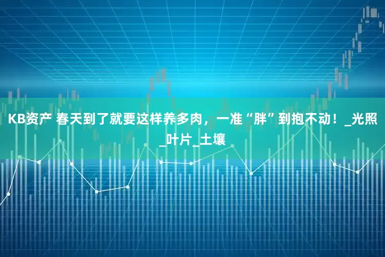 KB资产 春天到了就要这样养多肉，一准“胖”到抱不动！_光照_叶片_土壤