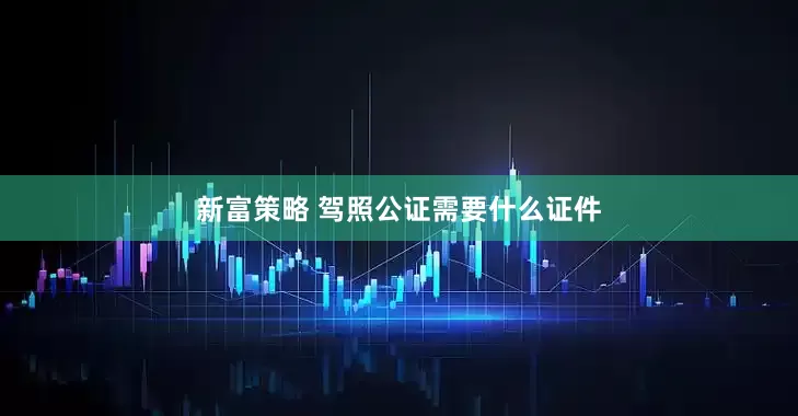 新富策略 驾照公证需要什么证件
