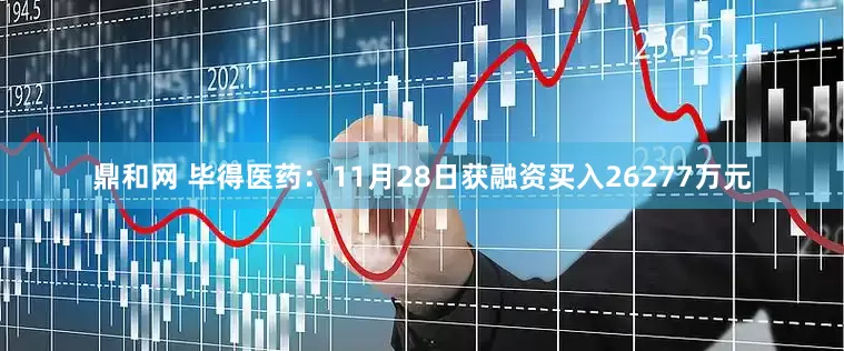 鼎和网 毕得医药：11月28日获融资买入26277万元